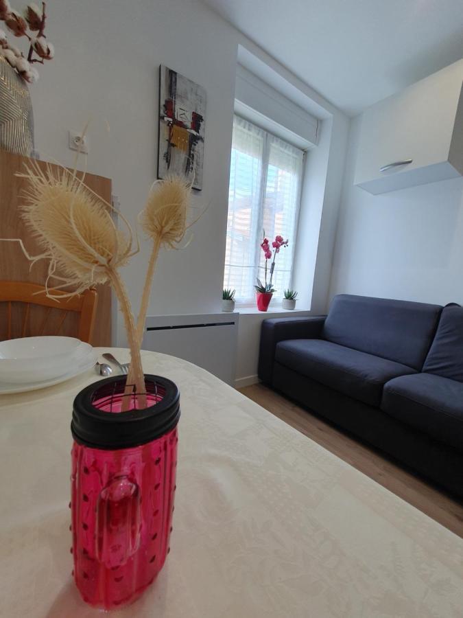 Appart'Hotel, Ikimo 5 Appartements Entiers A Votre Disposition Au Choix Nancy Kültér fotó