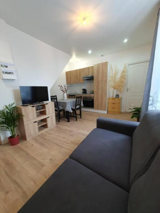 Appart'Hotel, Ikimo 5 Appartements Entiers A Votre Disposition Au Choix Nancy Kültér fotó
