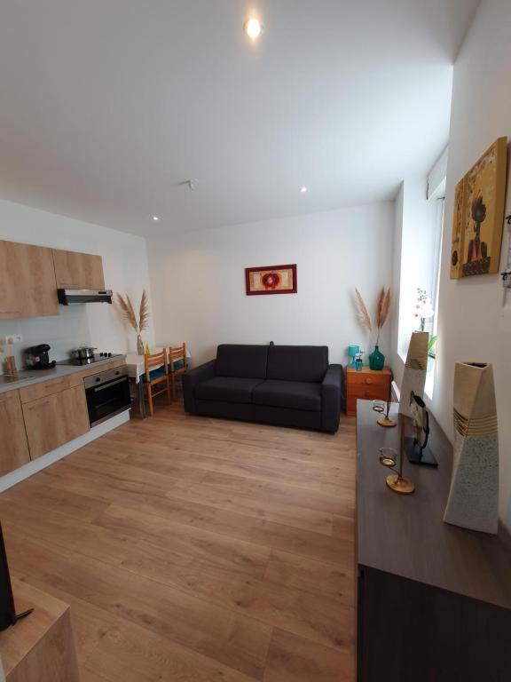 Appart'Hotel, Ikimo 5 Appartements Entiers A Votre Disposition Au Choix Nancy Kültér fotó