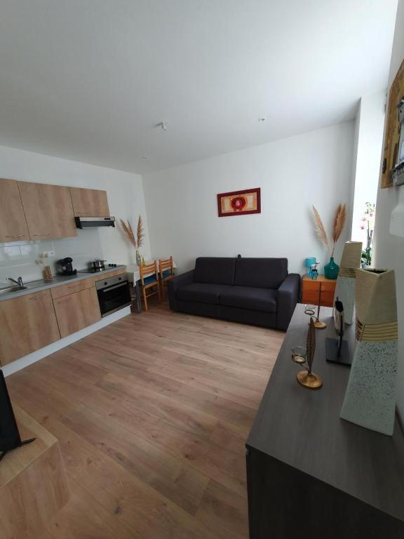Appart'Hotel, Ikimo 5 Appartements Entiers A Votre Disposition Au Choix Nancy Kültér fotó