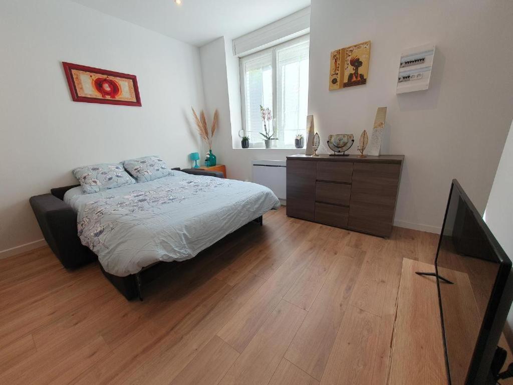 Appart'Hotel, Ikimo 5 Appartements Entiers A Votre Disposition Au Choix Nancy Kültér fotó