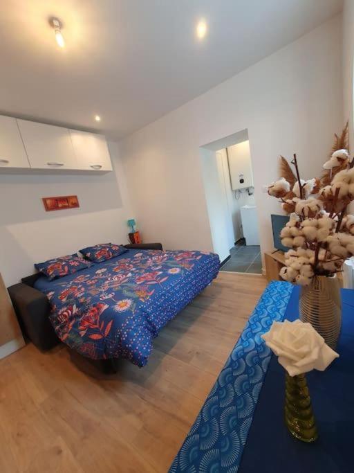 Appart'Hotel, Ikimo 5 Appartements Entiers A Votre Disposition Au Choix Nancy Kültér fotó