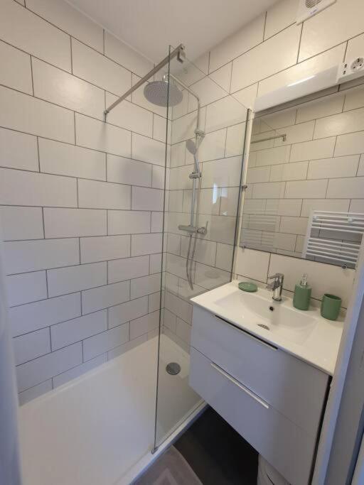 Appart'Hotel, Ikimo 5 Appartements Entiers A Votre Disposition Au Choix Nancy Kültér fotó
