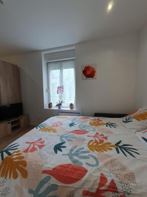 Appart'Hotel, Ikimo 5 Appartements Entiers A Votre Disposition Au Choix Nancy Kültér fotó