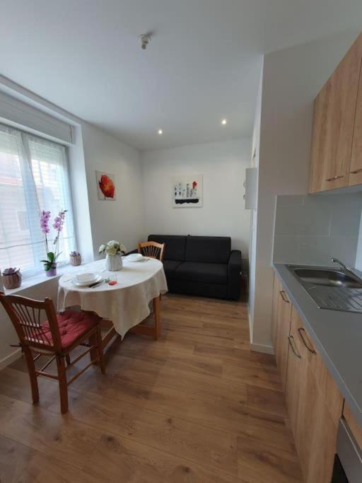 Appart'Hotel, Ikimo 5 Appartements Entiers A Votre Disposition Au Choix Nancy Kültér fotó