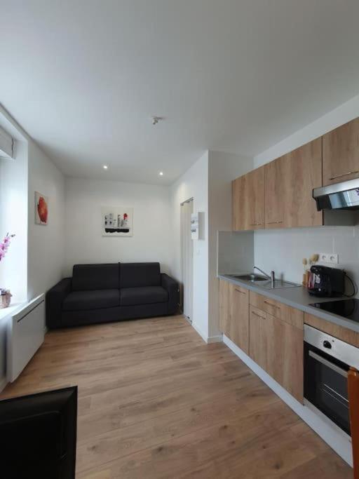 Appart'Hotel, Ikimo 5 Appartements Entiers A Votre Disposition Au Choix Nancy Kültér fotó